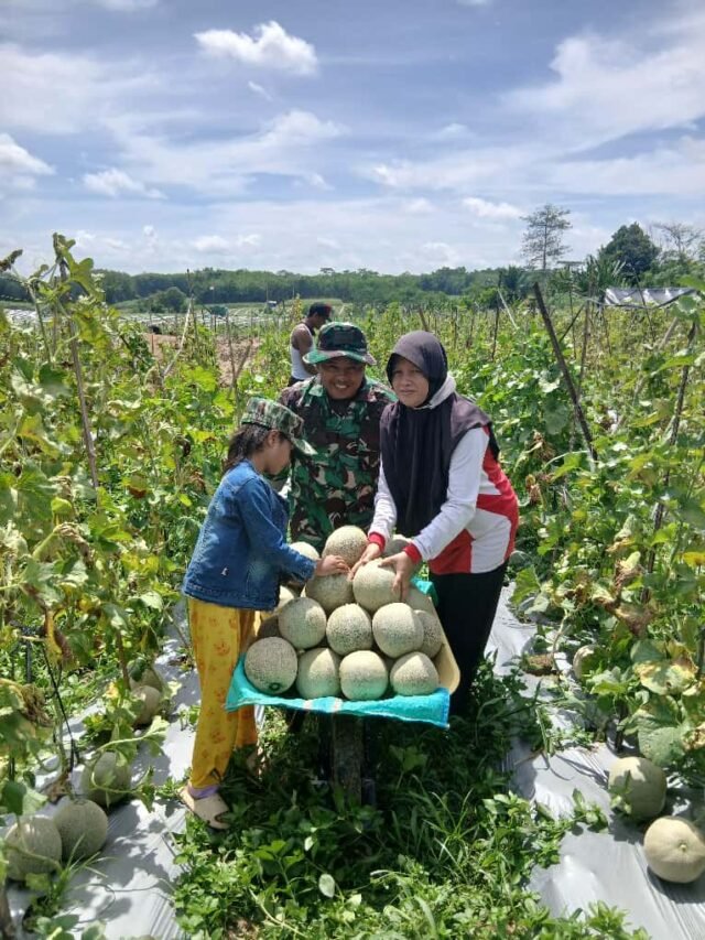 1764391474_0738b228-3524-4409-a689-cc3d1c88be91