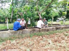 Bincang Santai Babinsa Koramil 04/Meureubo Dengan Petani Di Areal Persawahan