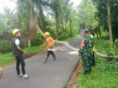 Respons Cepat Babinsa dan Bhabinkamtibmas Desa Selat Atasi Gangguan Lalu Lintas Akibat Pohon Tumbang