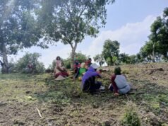 Sinergi TNI dan Petani: Babinsa Woko Dukung Ketahanan Pangan Dengan Penanaman Jagung