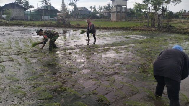 1765111036_693574fc88a87_03b504dd-d692-4873-be4c-34c428408f75