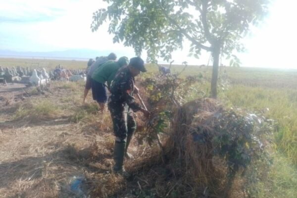 Sinergi TNI dan Masyarakat Bersihkan Saluran Air di Desa Corawali
