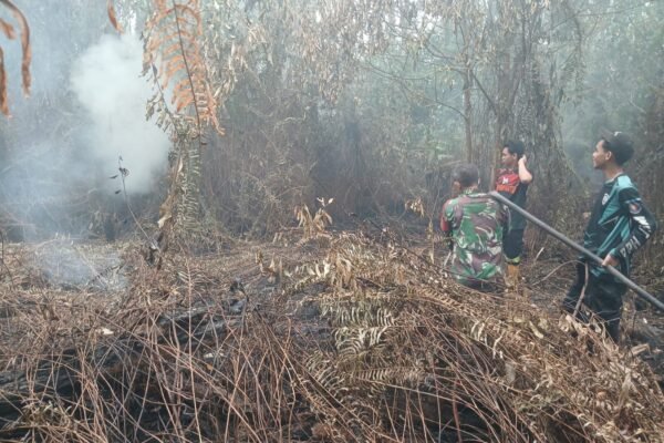 Kodim 1016/Plk Berkolaborasi dengan BPBD untuk Cegah Kebakaran Hutan