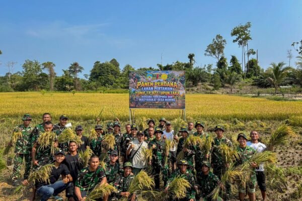 Danyonif TP 922/Upun Taka Berkolaborasi untuk Kebangkitan Pertanian Lokal