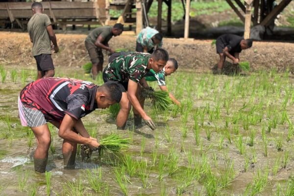 Upaya Yonif TP 859/RBK Membuka Lahan Baru untuk Pertanian Berkelanjutan