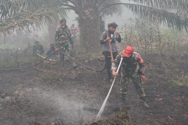 Komandan Kodim Tinjau Langsung Upaya Pemadaman Kebakaran di Kotawaringin Timur