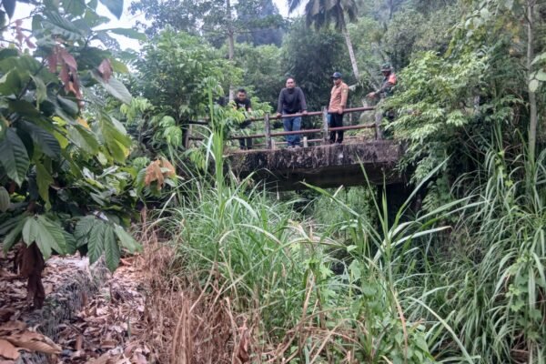 Jembatan di Kelapa Dua Diharapkan Perkuat Aktivitas Ekonomi Masyarakat