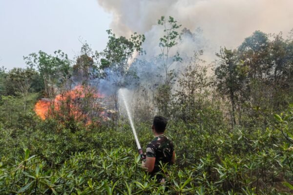 Kolaborasi Multisektoral Atasi Kebakaran Hutan dan Lahan di Gunung Mas