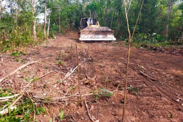 Pembangunan Jalan di Way Kanan Dukung Aktivitas Ekonomi Warga Melalui TMMD